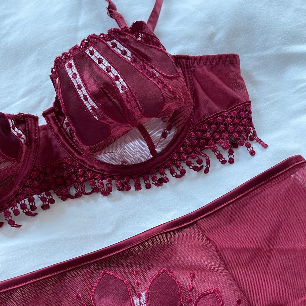 Wine Red Simone Perele Bra & Panty Set 34B/S